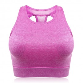 Hollow Out Beauty Back Quick Drying Shockproof Yoga Sports Bra